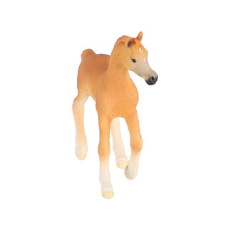 Schleiich Horse Club Arabisch Veulen 13984