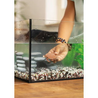 Schlich Wild Life Karet Turtle 14876