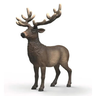 Schleich Wildleben Amerikanischer Rothirsch 14992