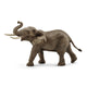 Schlich Wild Life African Elephant Mann 14762