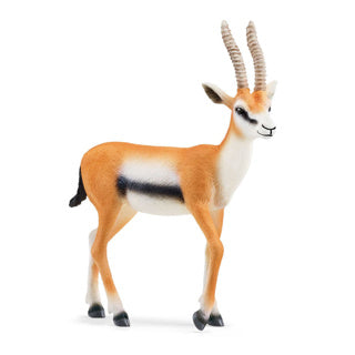 Schleich 14861 Thomson Gazelle | 5 Stück