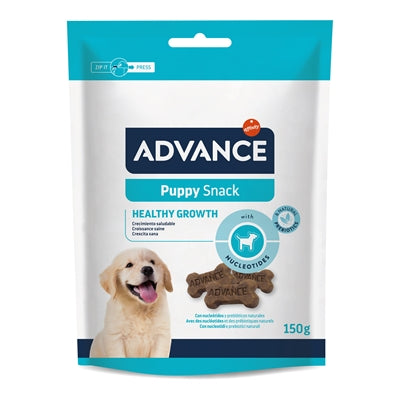 Puppy -Snack voranschreiten