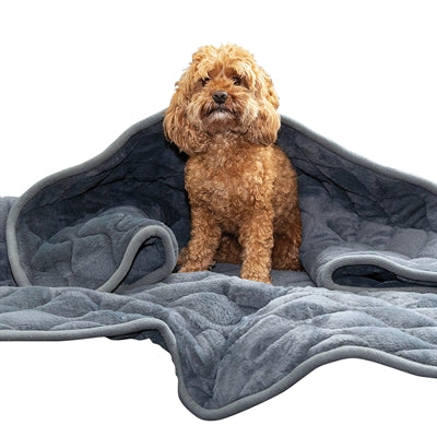 Kong Calming Verschlimmerungs-Decke