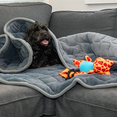 Kong Calming Verschlimmerungs-Decke