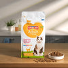 Smolke Katze Erwachsener Fischreis