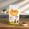 Smolke Katze Erwachsener Fischreis
