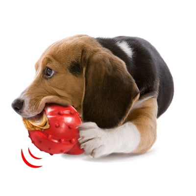 Nylabon Starker Gummi -Kegelspeck -Speckgeschmack