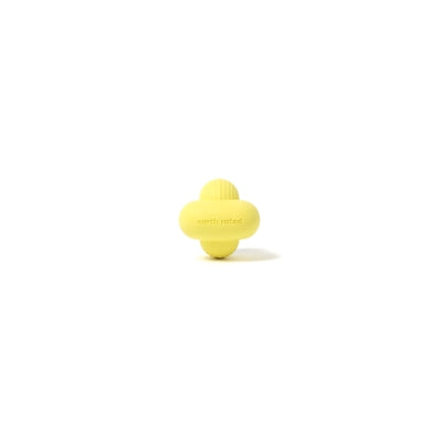 Earth -bewertetes Fetch -Spielzeuggummi