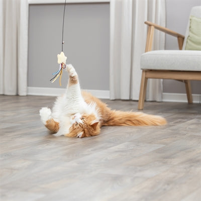 Trixie Cat Rod Stern Plastikplüsch mit Katzenminze