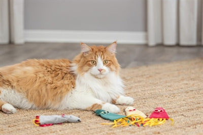 Trixie Muis Plüsch mit Katzenminister -Assorti