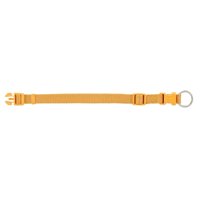Trixie Kragenhund Premium Curry Gelb