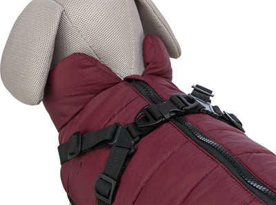Trixie Dog Jacke Pirou mit Tuig Sangria
