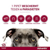 Bayer Elanco Advantix Spot auf