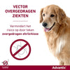 Bayer Elanco Advantix Spot auf