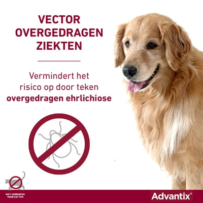 Bayer Elanco Advantix Spot auf