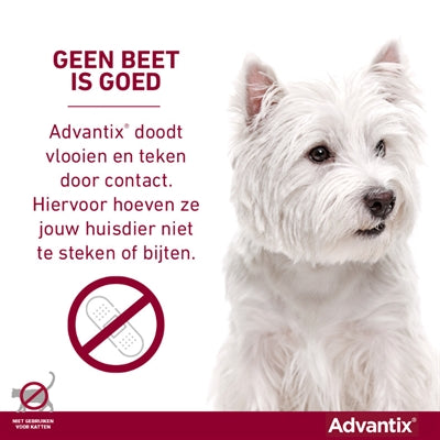 Bayer Elanco Advantix Spot auf