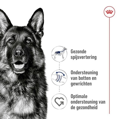 Royal Canin Canin Maxi Erwachsener