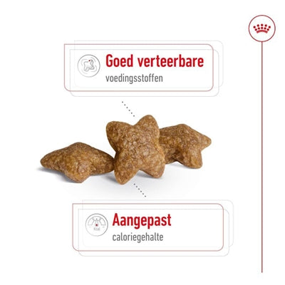 Royal Canin Canin Mini Erwachsener