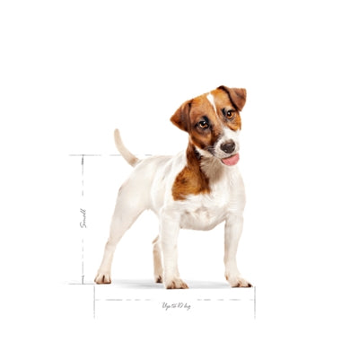 Royal Canin Canin Mini Erwachsener