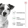 Royal Canin Canin Mini Erwachsener