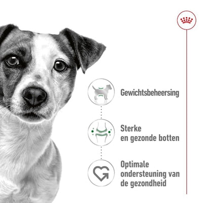Royal Canin Canin Mini Erwachsener