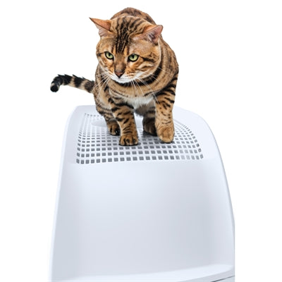 IMac Müllbox Frida mit Schublade blau
