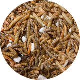 Utopia Insektenmischung - afbeelding 2