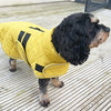 Happy Cap Dog Jacke gehen gehen