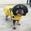 Happy Cap Dog Jacke gehen gehen