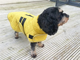 Happy Cap Dog Jacke gehen gehen - afbeelding 3