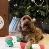 Amor Comet Carrie Candy Cane Christmas Stick Pluchen
