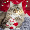 Amor Comet Wollkugeln