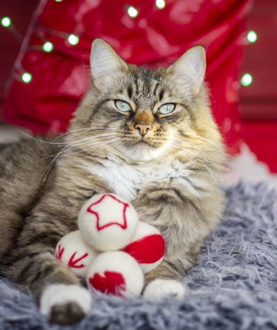 Amor Comet Wollkugeln