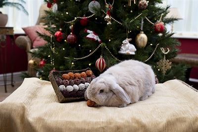 Cupid Comet Adventsgeschenk 'n' Futter Trüffelskala