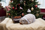Cupid Comet Adventsgeschenk 'n' Futter Trüffelskala - afbeelding 2