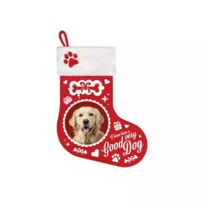 Viele Geschenke Weihnachten Socken Golden Retriever