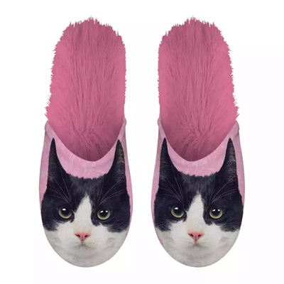 Slippel Schwarz -Weiß -Katze rosa