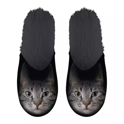 Slippel Grey Cat Black