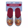 Slippel Labradoodle Lila Rot