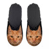 Slipperorange Katze schwarz