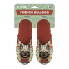 Slippel French Bulldog French Bulldog Oranje