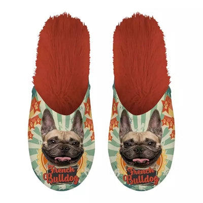 Slippel French Bulldog French Bulldog Oranje