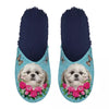 Slipper Shih Tzu hellblau dunkelblau