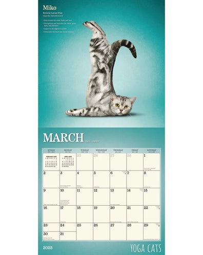 Kalender -Yoga -Katzen 2025