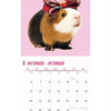 Kalender Cavia's Studio 2025