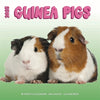 Kalender Cavia's Studio 2025