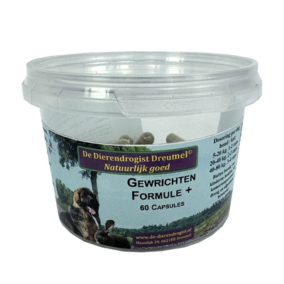 Tierapotheker Gelenkformel + Kapseln