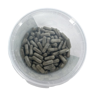Tierische Drogistresorption von Früchten der fetalen Resorption