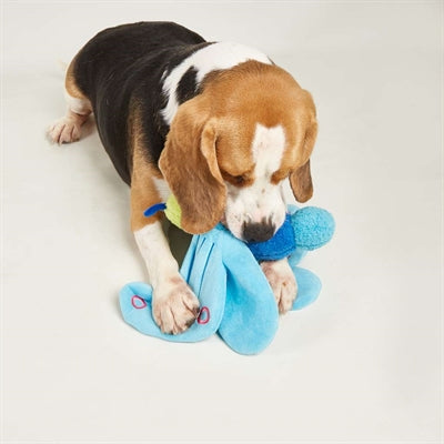 Fofos Jumbo Butterfly Blau