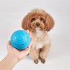 Fofos Rollball für Hunde wiederaufladbar